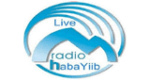 Radio Habayiib