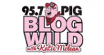 The Big Pig – Today's Sizzlin' Country