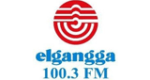 Elgangga FM