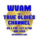 98.1 and 107.9 WVAM – WHNK