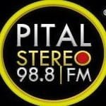 Pital Stereo 98.8 FM